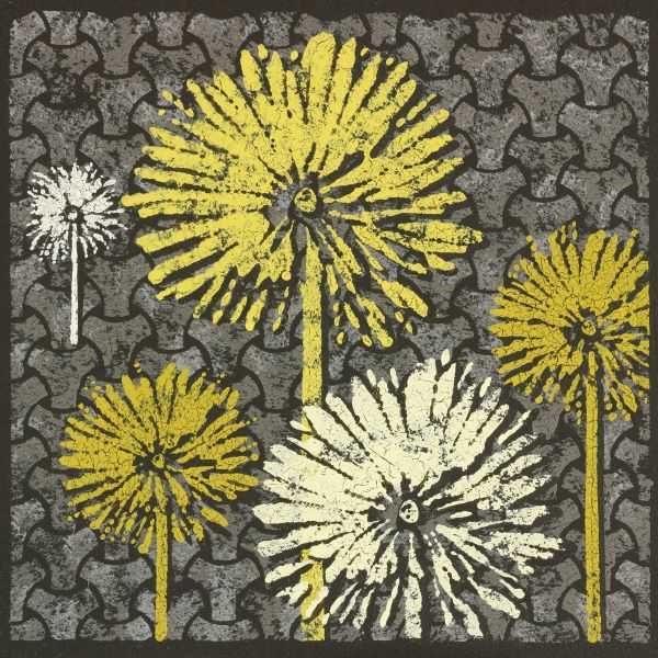 Dandelion on Interwoven Balls