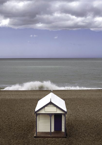 The Seagull