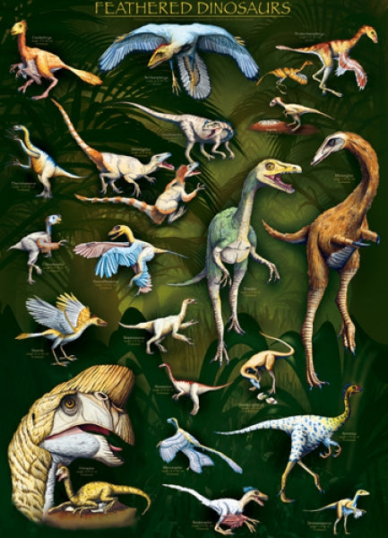 Feathered Dinosaurs 1
