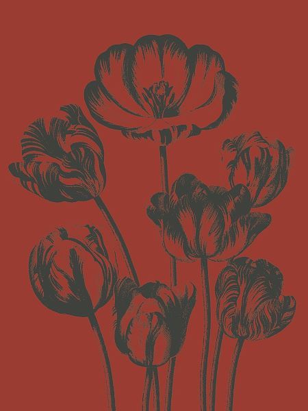 Tulip 9