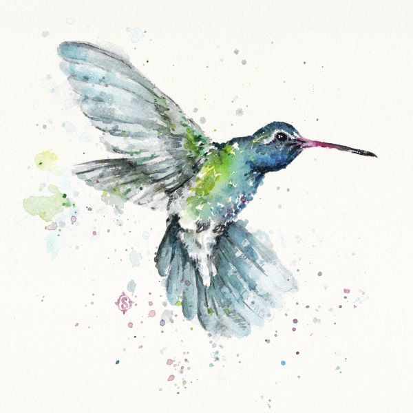 Hummingbird Flurry