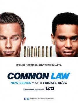 Common Law (TV)
