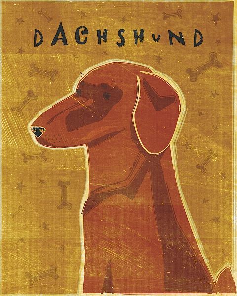 Dachshund (red)