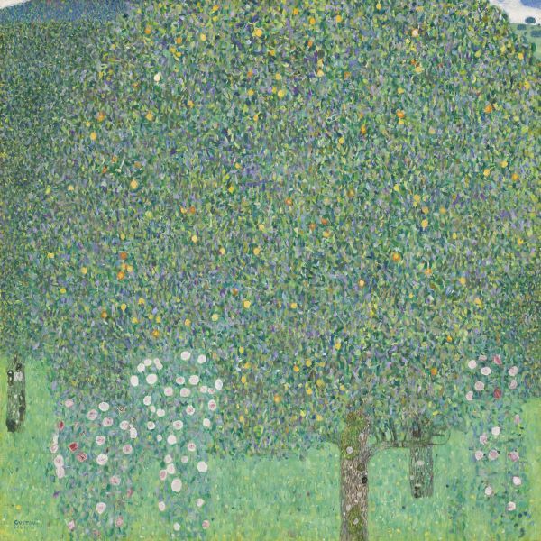 Rosebushes Under the Trees, ca. 1905