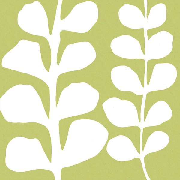 White Fern on Green