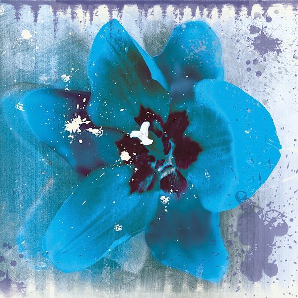 Tulip Fresco (blue)