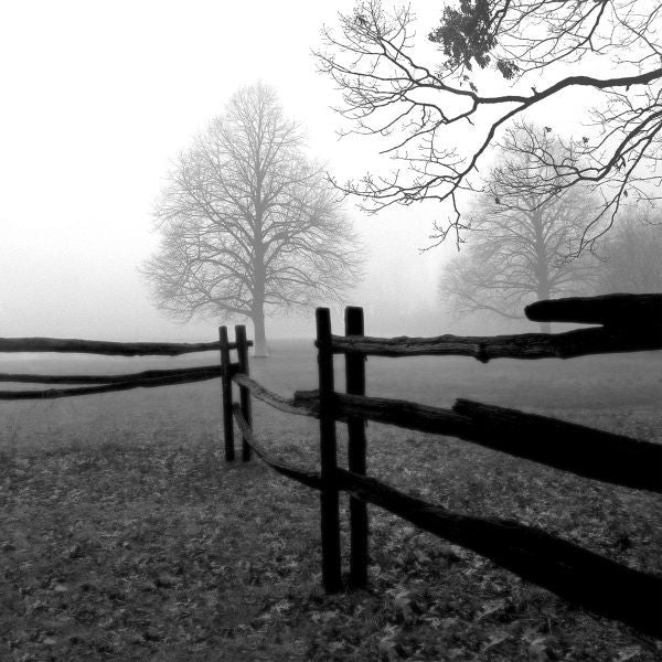 Fence in the Mist