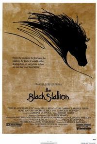 The Black Stallion