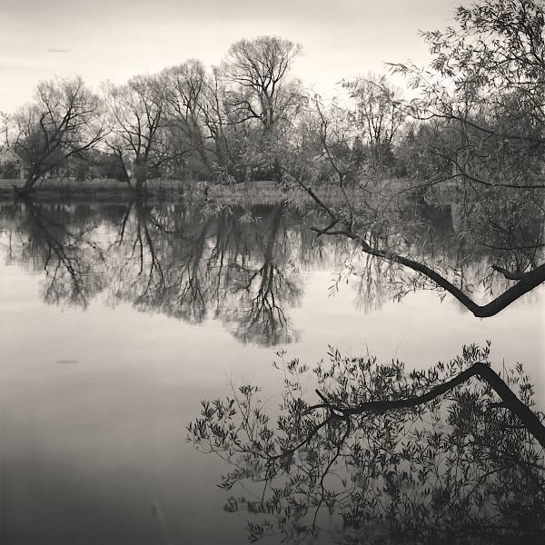 Rideau River, Study