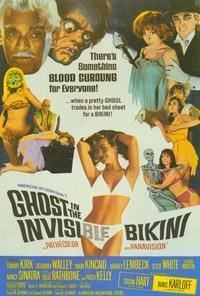 Ghost In the Invisible Bikini