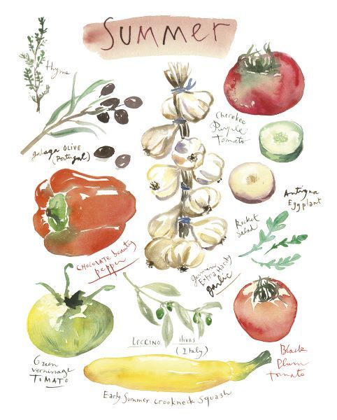 Summer Vegetables