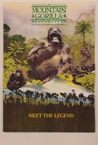 Mountain Gorilla (IMAX)