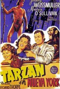 Tarzan's New York Adventure