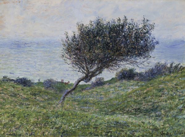 Sea Coast at Trouville