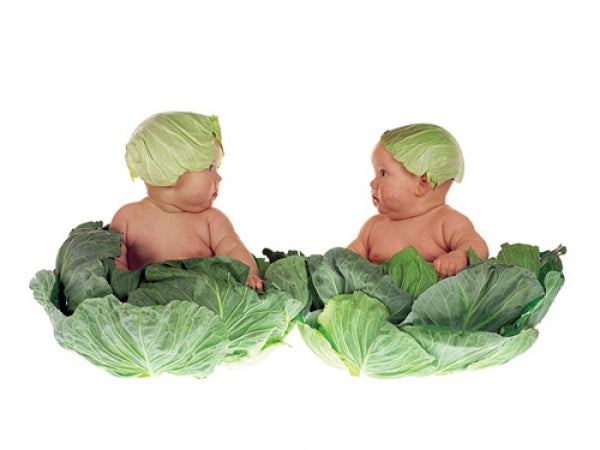 Cabbage Kids