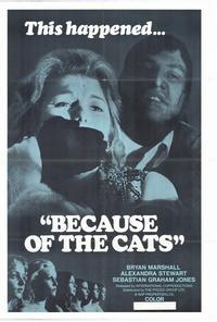Because of the Cats