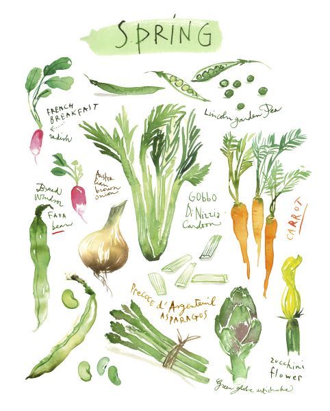 Spring Vegetables