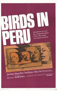 Birds in Peru