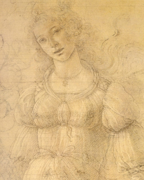 Drawing Of A Woman