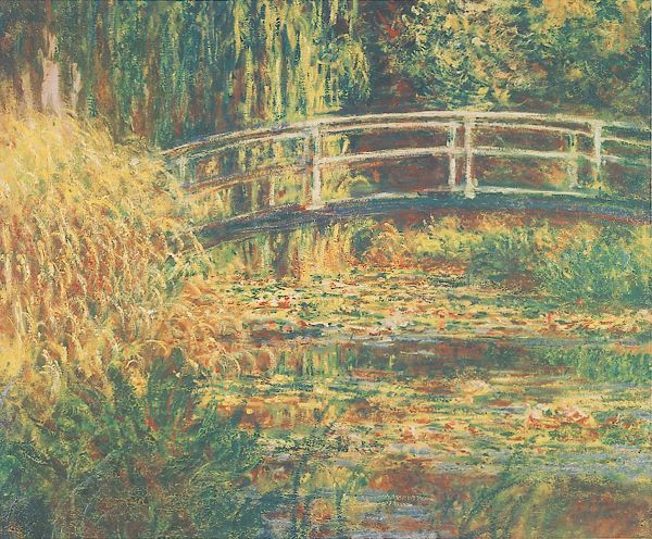 Water Lily Pond - Pink Harmony