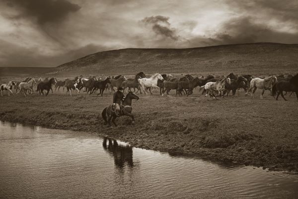 Sombrero Herd