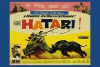 Hatari!