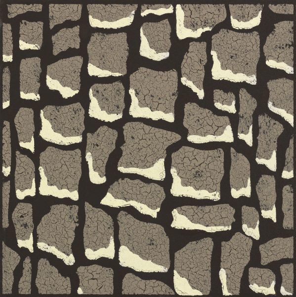 Giraffe Skin