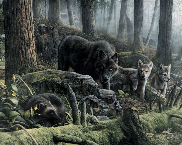 Wolves with Wolverine