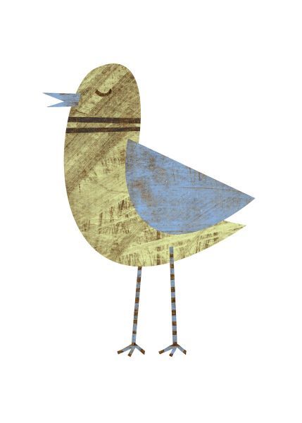 Blue Winged Bird