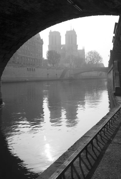 Notre Dame Reflection