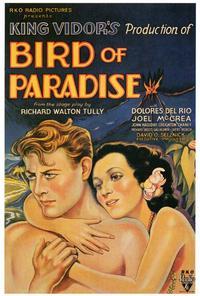 Bird of Paradise