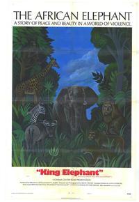King Elephant