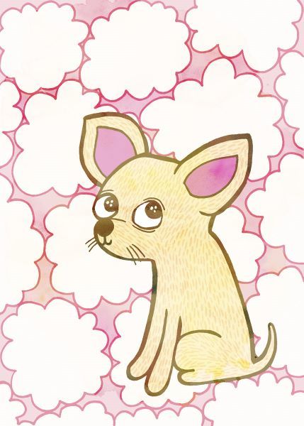 Chihuahua