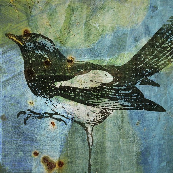 Magpie No. 1