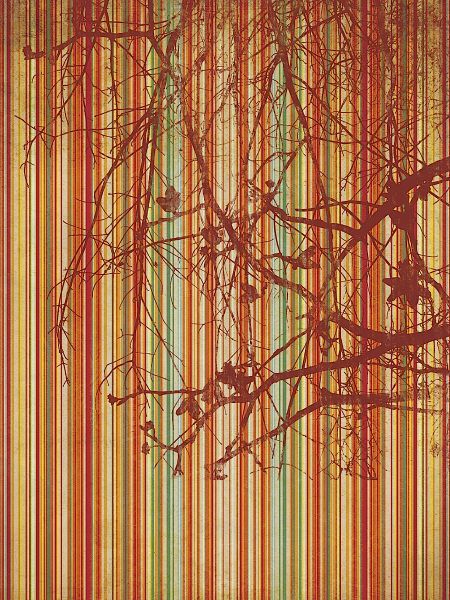 Amber Stripe
