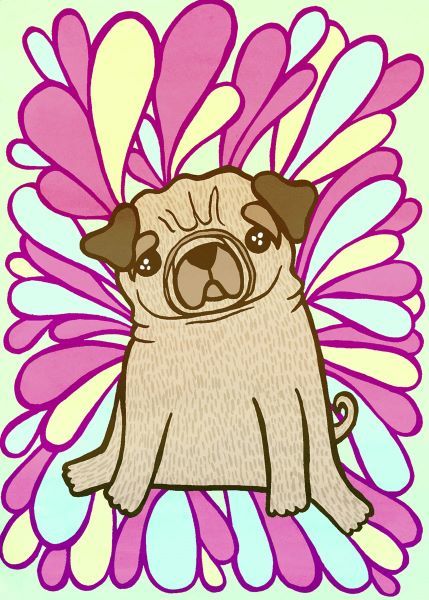 Pug