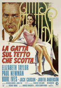 Cat on a Hot Tin Roof