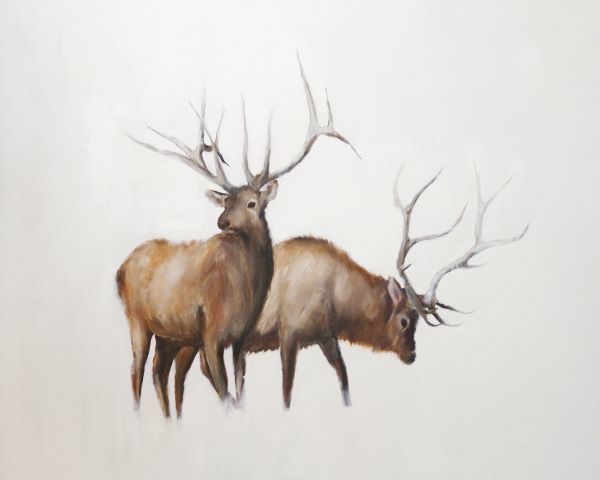 Two Elk