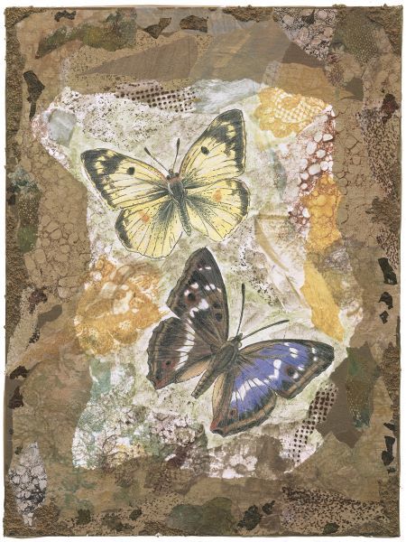 Honeycomb Butterflies