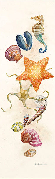Seashore Discovery