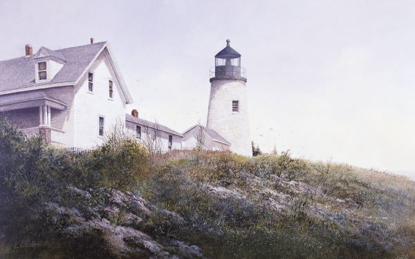 Gulls at Pemaquid