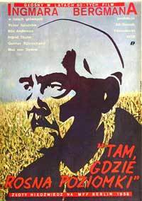 Wild Strawberries