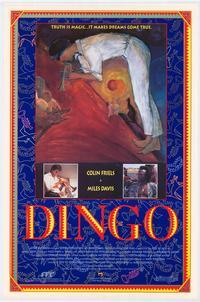 Dingo