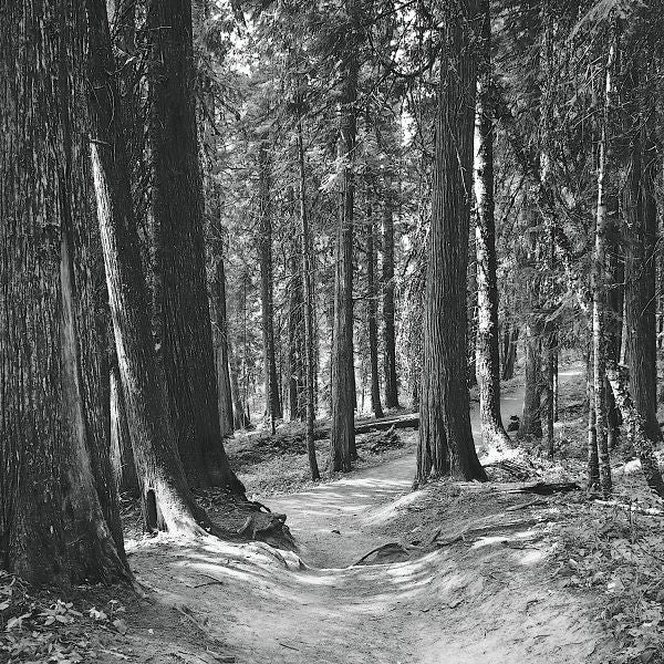 Mountain Hike