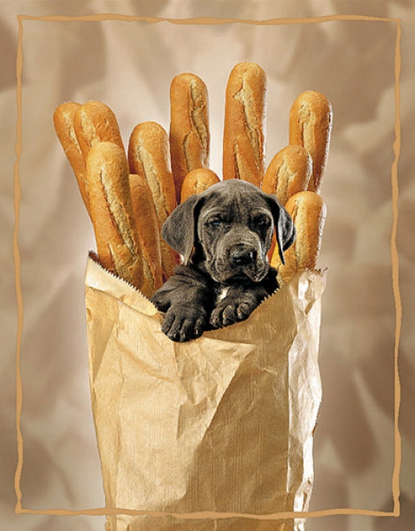 Puppy - Baguette