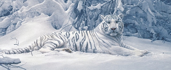White Tiger