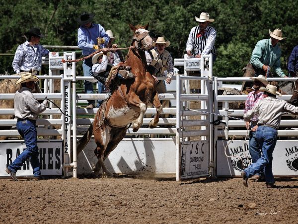 Chute