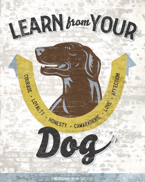 Learn From Your Dog
