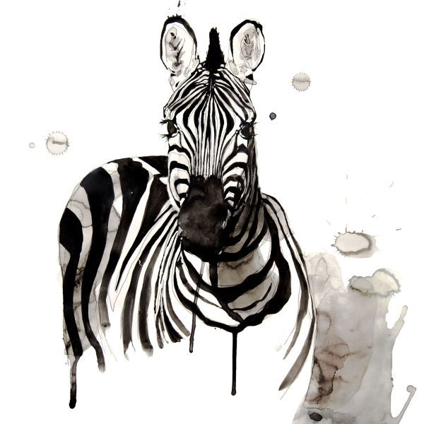 Zebra I