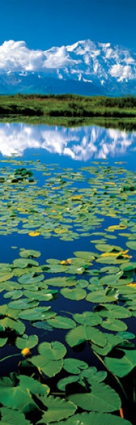 National Park - Lake With Waterlilies)